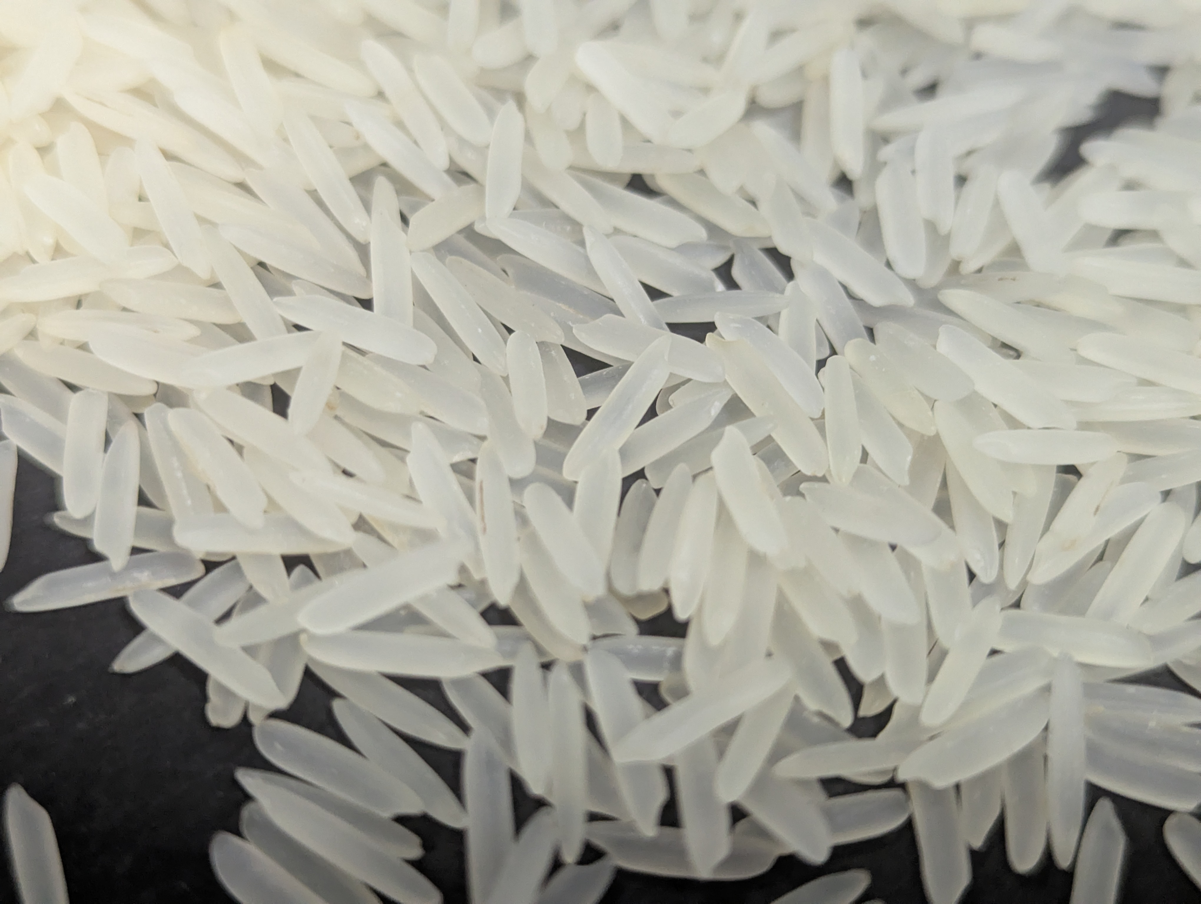 1121 Basmati Creamy Sella Rice